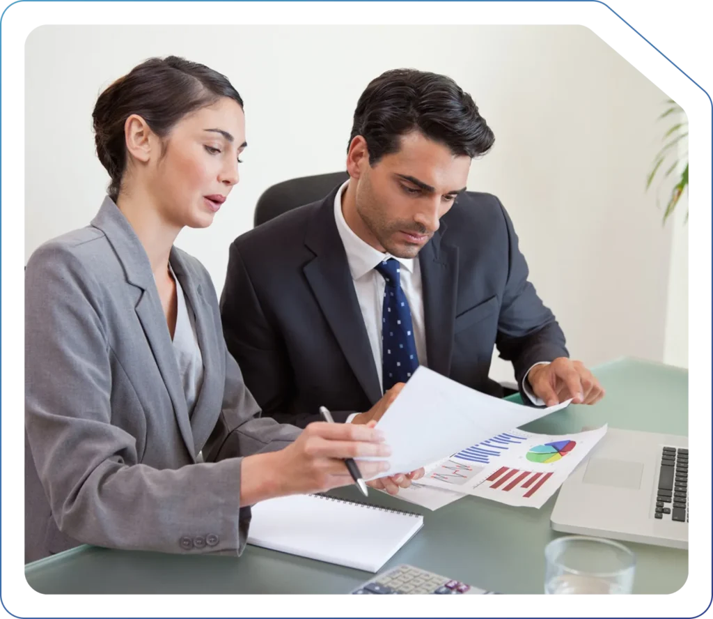 VAT Disputes and Investigations support