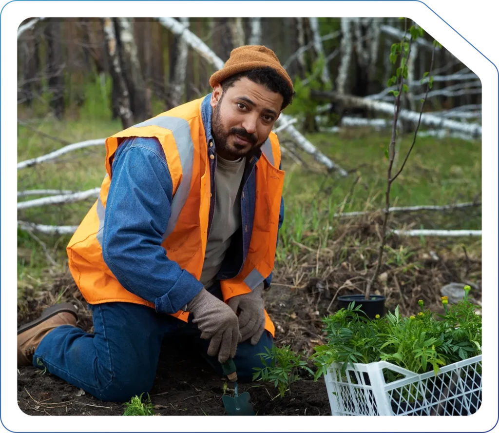 Accountants for Forestry in the UK