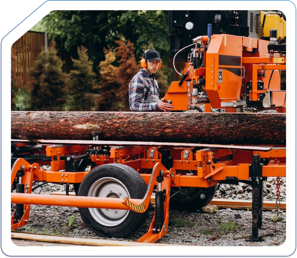 Accountants for Forestry in the UK