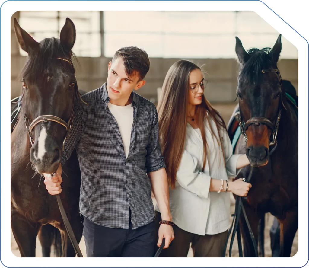 Accountants for Equestrian Businesses in the UK
