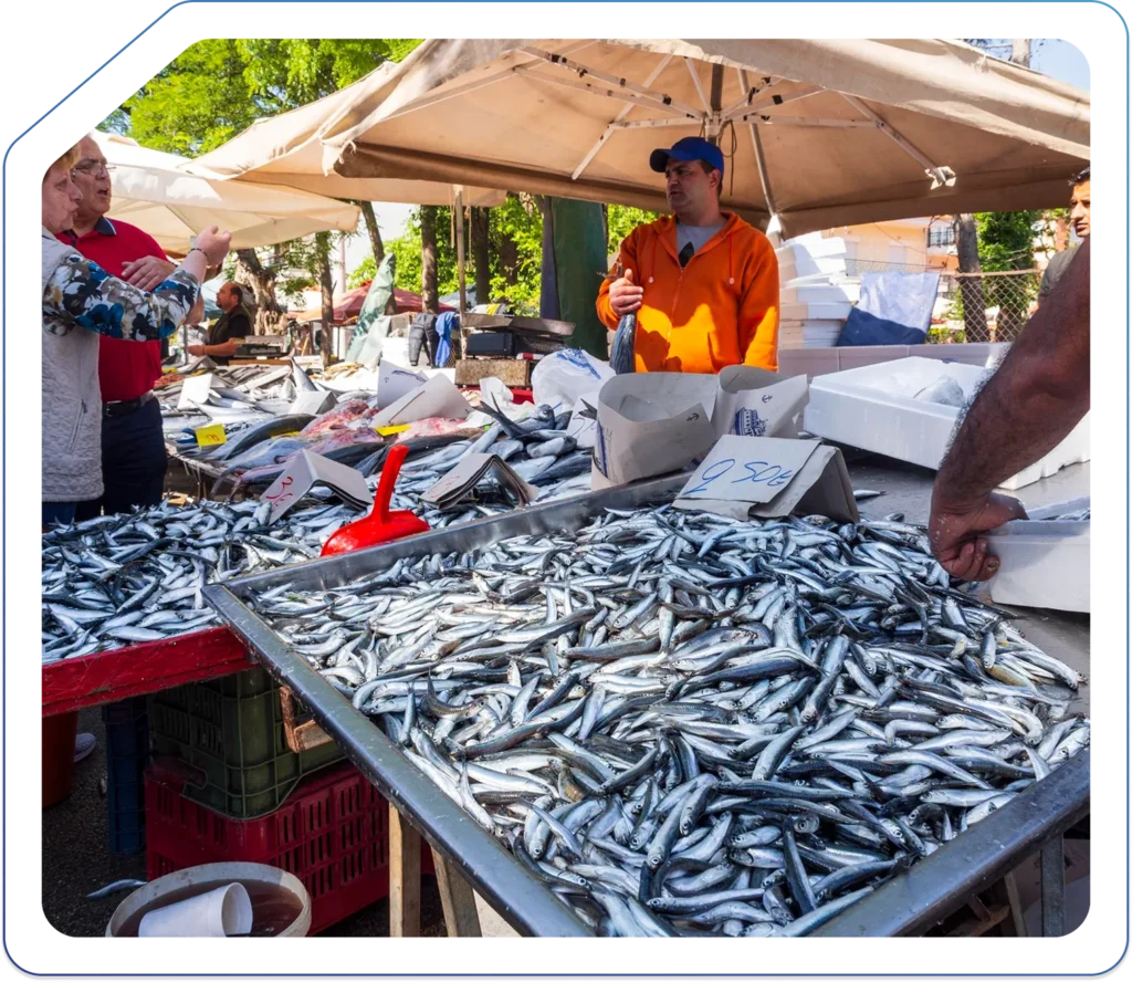 Accountants for Fisheries Businesses in the UK