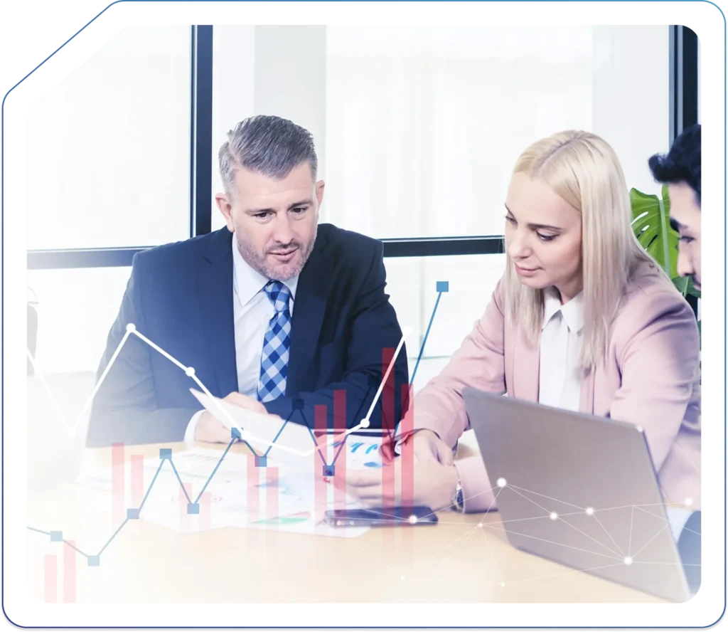 Accountant for IT Consultants