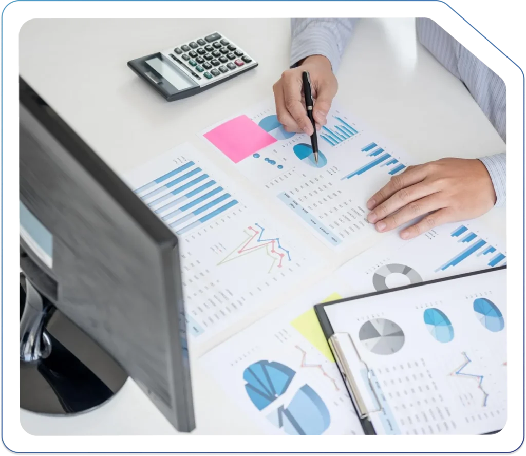 Profit and Loss Reporting Services in UK