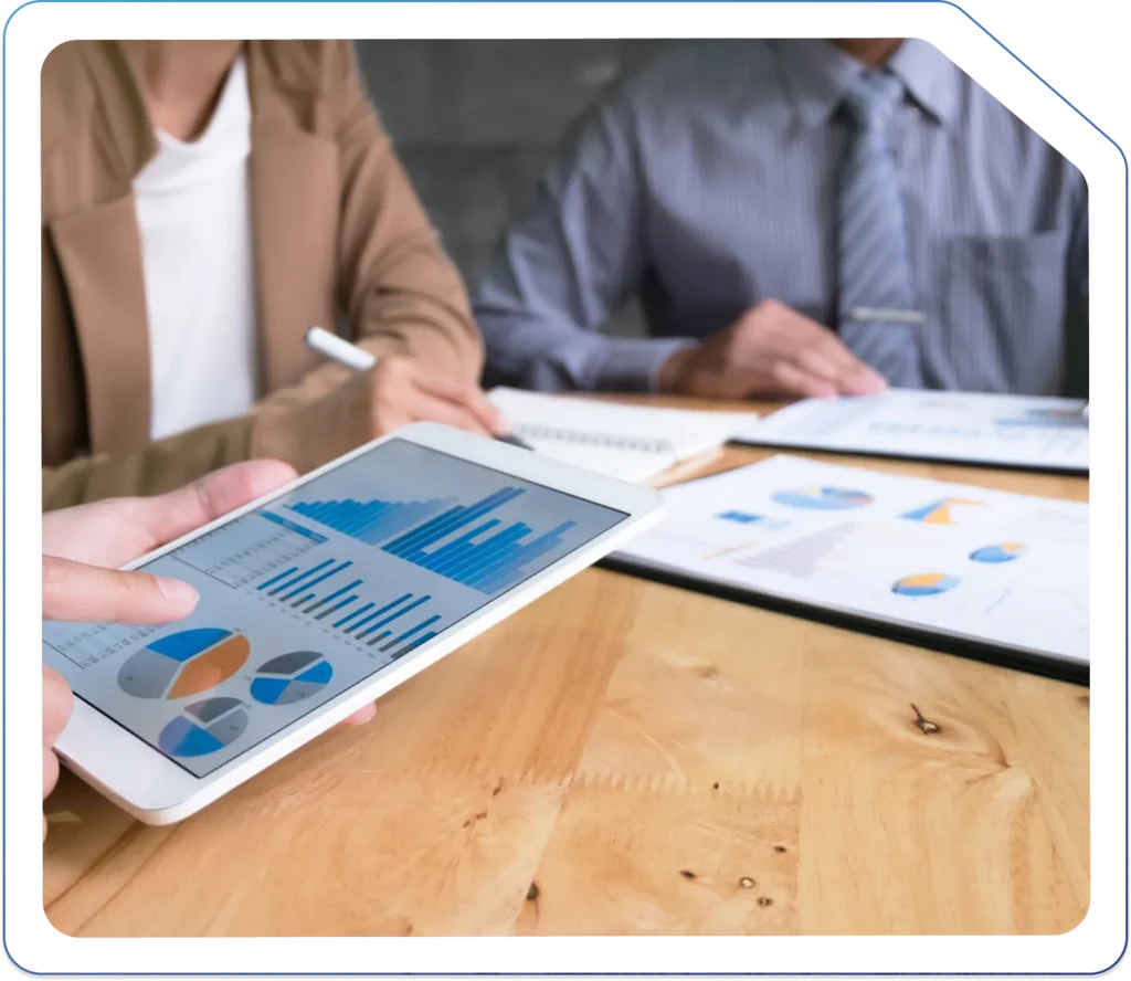 Profit and Loss Reporting Services in UK