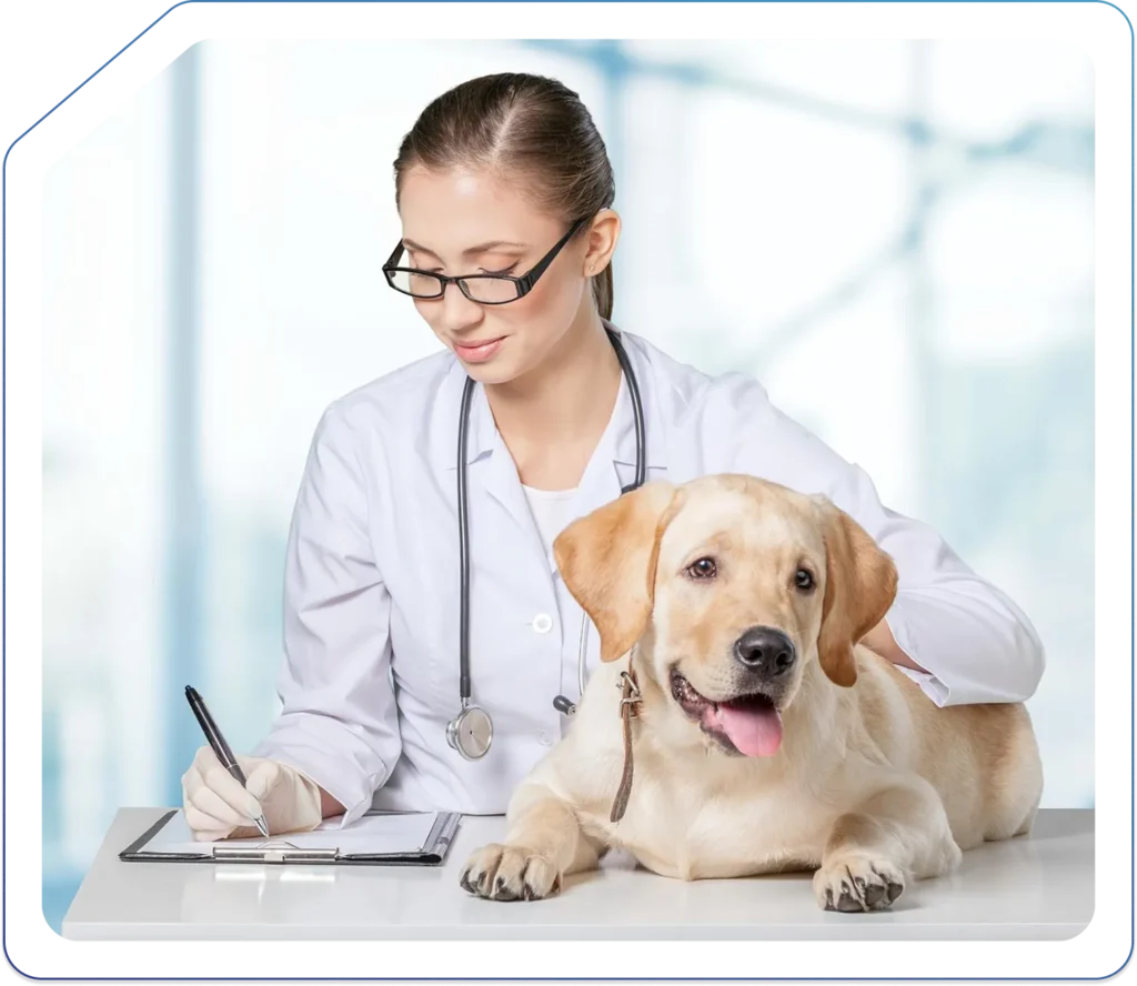 Accountant for Vets
