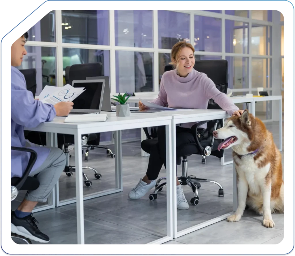 Accountant for Vets